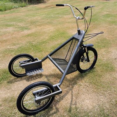 scooter électrique de tricycle de chien de trois 3 roues